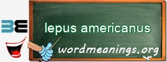 WordMeaning blackboard for lepus americanus